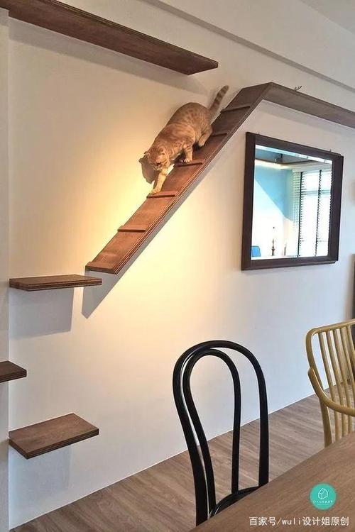猫楼梯图标