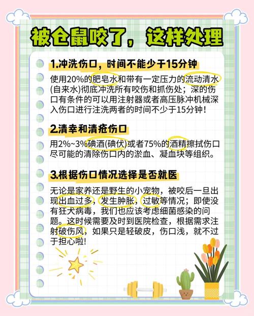 被仓鼠咬了有死亡案例吗
