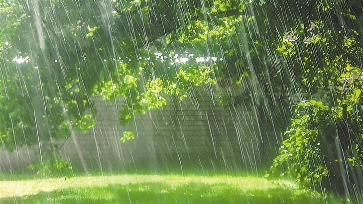 雨的雅称单字