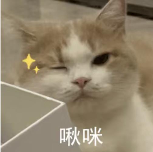 咩啾咪
