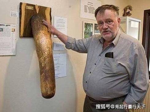 男生生殖