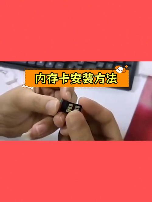 华为手机内存卡在哪个位置
