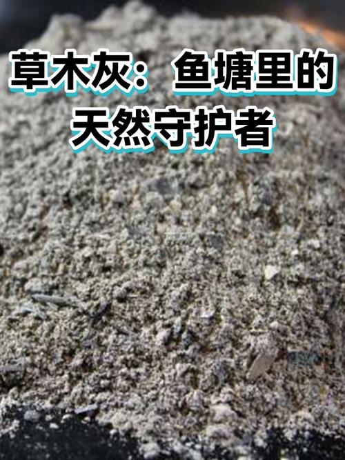 大雨过后鱼塘水浑浊怎么办