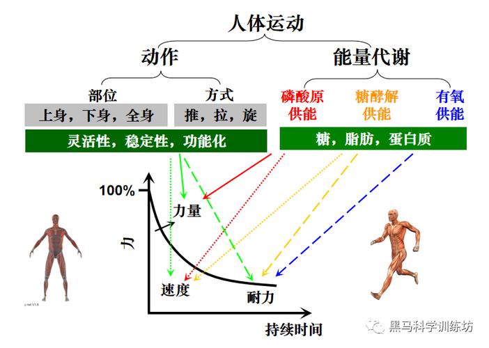 打篮球2小时相当于跑步几公里截图