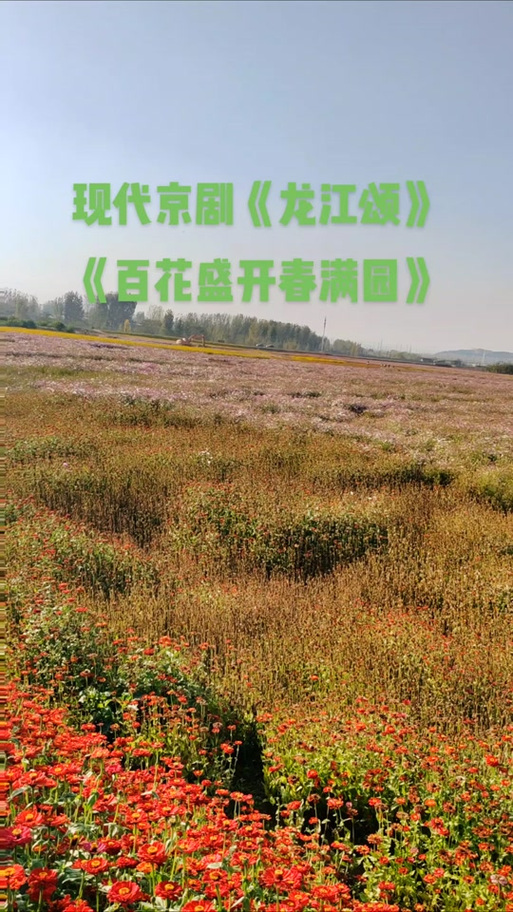 百花盛开春满园张淑敏演唱