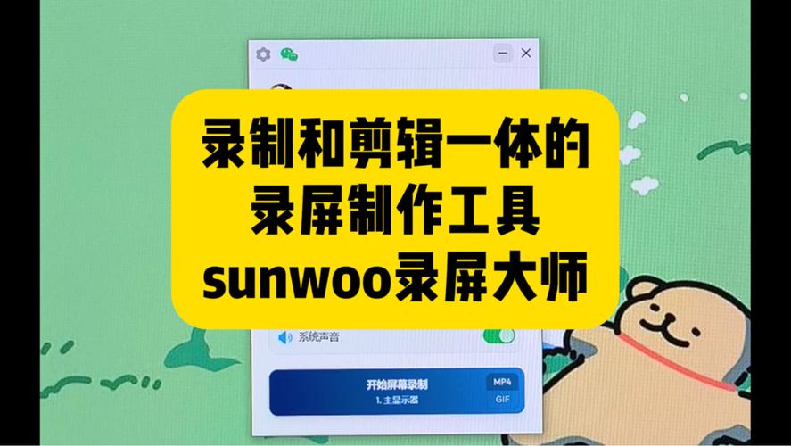 sunwoo转换器游戏截图