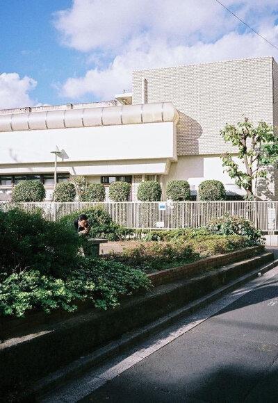 INS日本