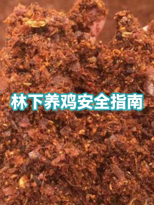 林下养鸡截图