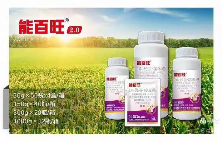 能百旺价格