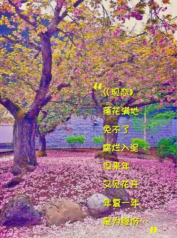 落花成泥表达怎样的爱