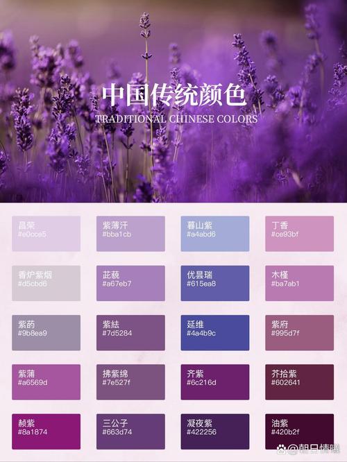 紫秀live是真的吗