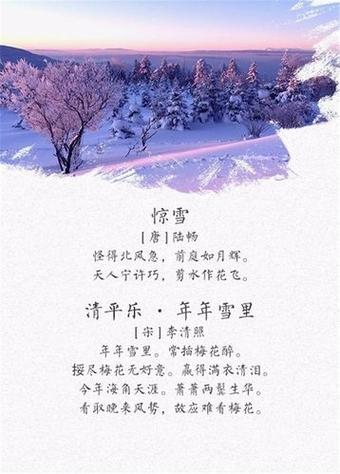 雪映诗句