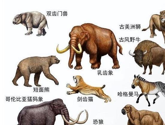 我的世界指令消灭所有生物的指令游戏截图