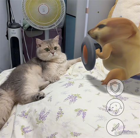 猫丢了会感应主人在找他吗