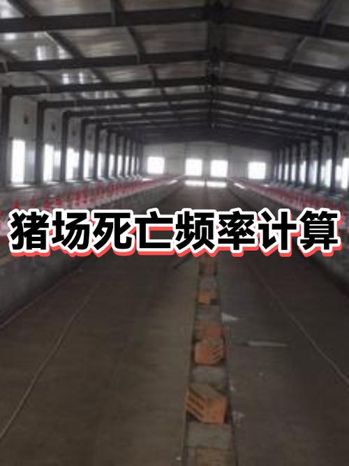死亡频率