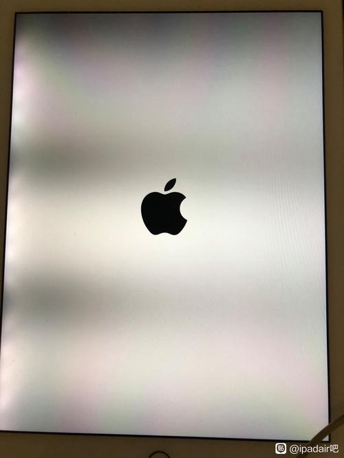 ipad屏幕边缘有黑影