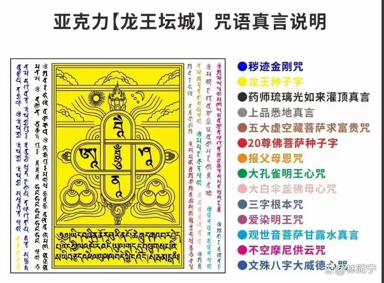 龙王咒正确念法