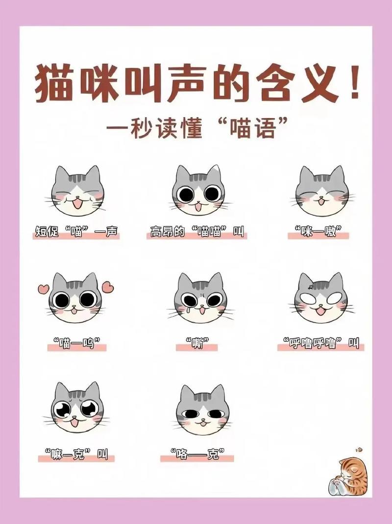 猫的声音 叫声图标