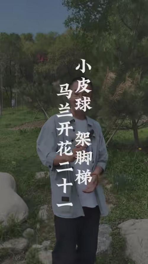 童谣小皮球架脚踢马兰开花21
