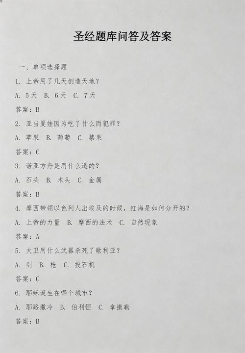圣经答题网入口截图