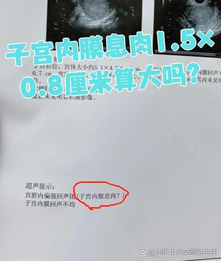 1.5×0.8缩略图