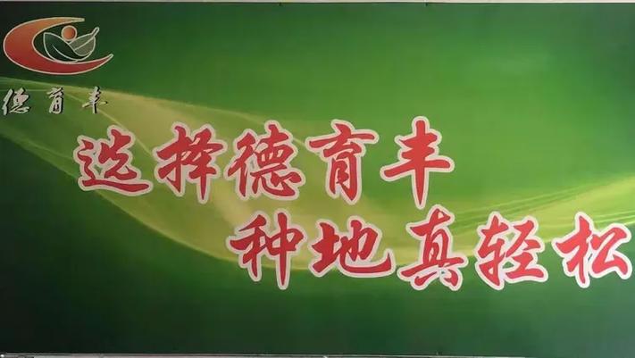 什么专栏