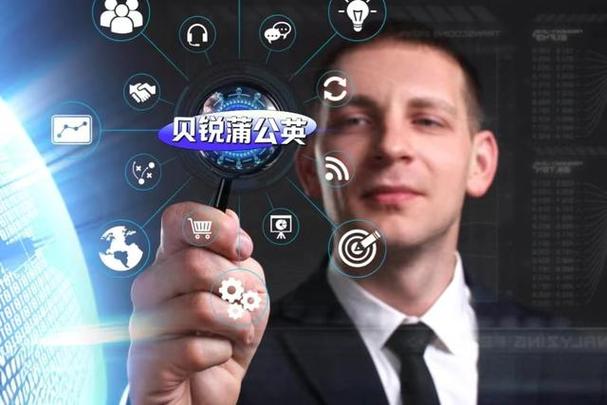 贝锐是干嘛的截图