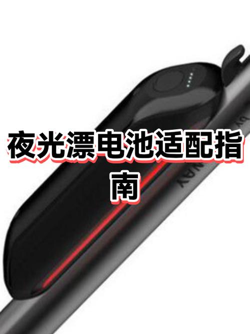夜光漂电池十大名牌