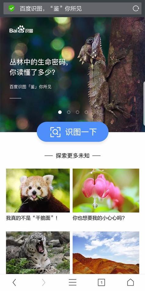 百度识别图片
