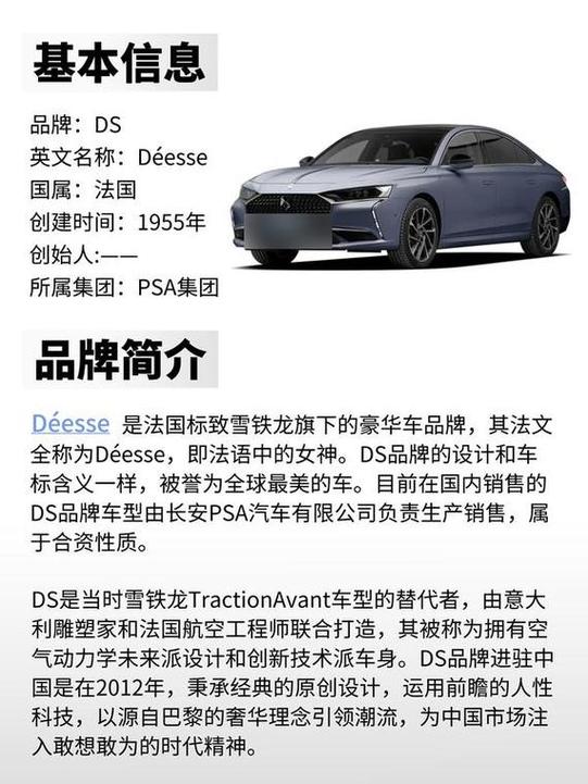 ds汽车中文叫什么牌子图标