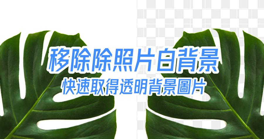wps文字背景颜色怎么去掉缩略图