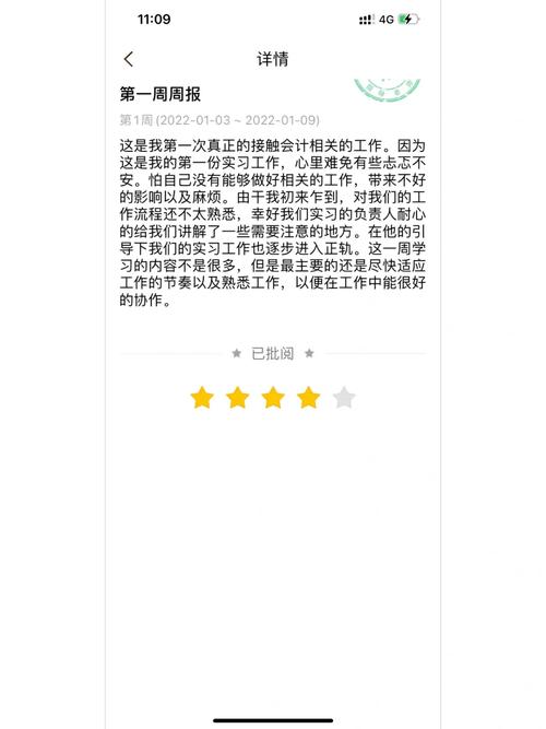 蘑菇钉每天的日报范文截图