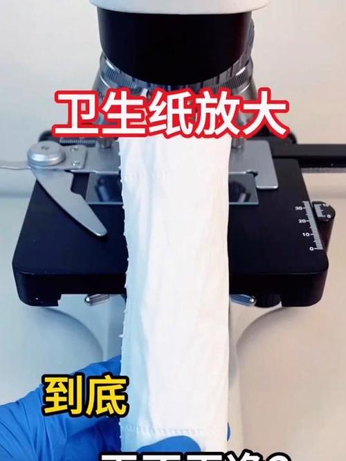 卫生纸干净吗?
