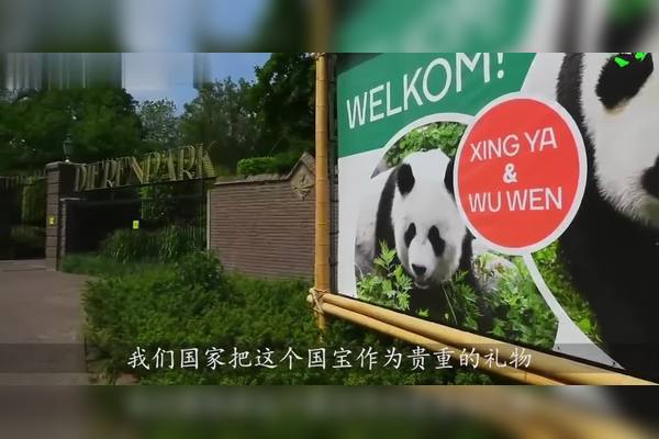 大熊猫出租给国外一年多少费用