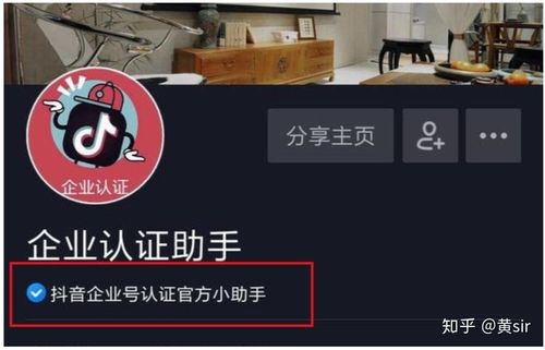 一个蓝v可以绑定几个子账号