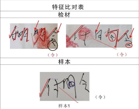 通过笔迹鉴定能确定日期吗