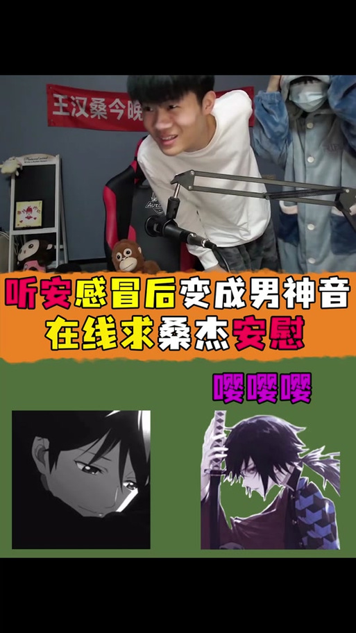 听安获得哪几年的王者荣耀十大主播
