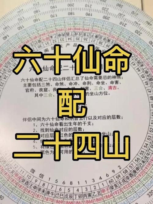 六十仙命葬山一览表截图