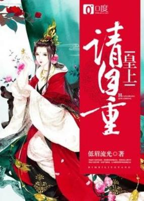 皇上请正经小说