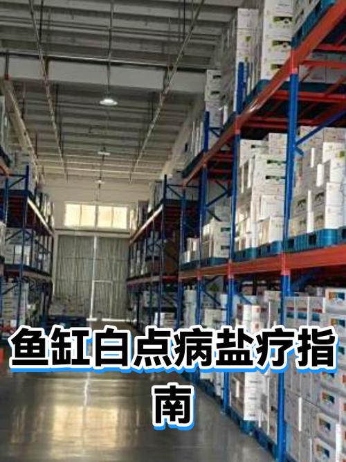 鱼缸加盐正确方法