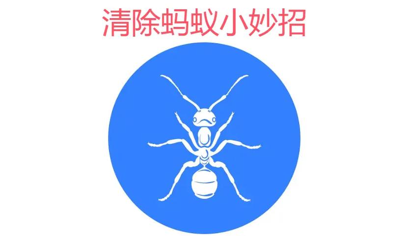 家里出现了蚂蚁怎么根除缩略图