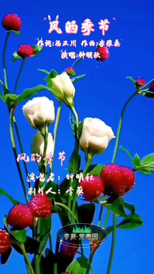 风的季节来电铃声