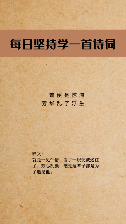 惊鸿一遇的意思