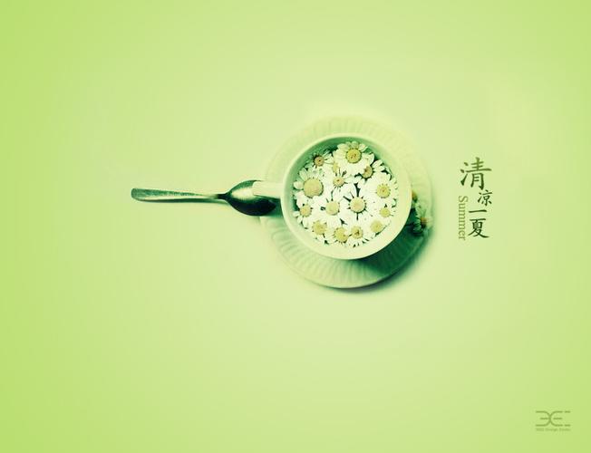 360壁纸电脑版缩略图