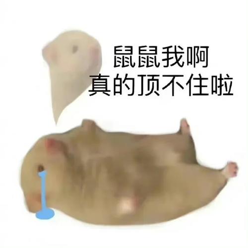 无办法的表情包