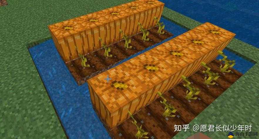 我的世界种植南瓜