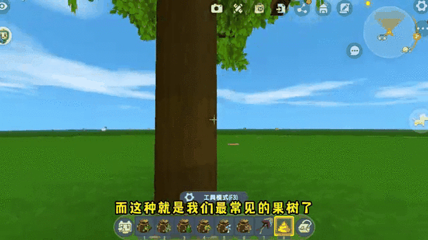 迷你世界树苗怎么长不大