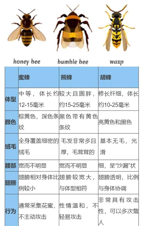 蜂巢等级截图