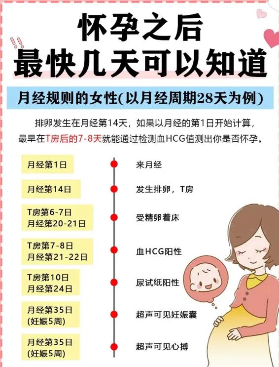 中午同房后晚上有同房影响受孕吗