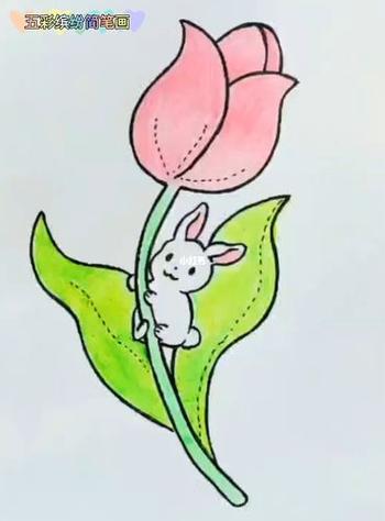 小兔子花怎么打